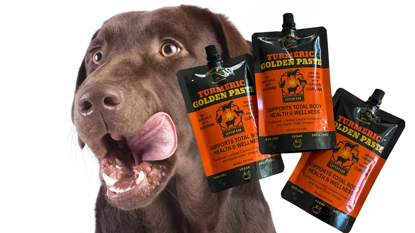 Turmeric Golden Paste For Dogs